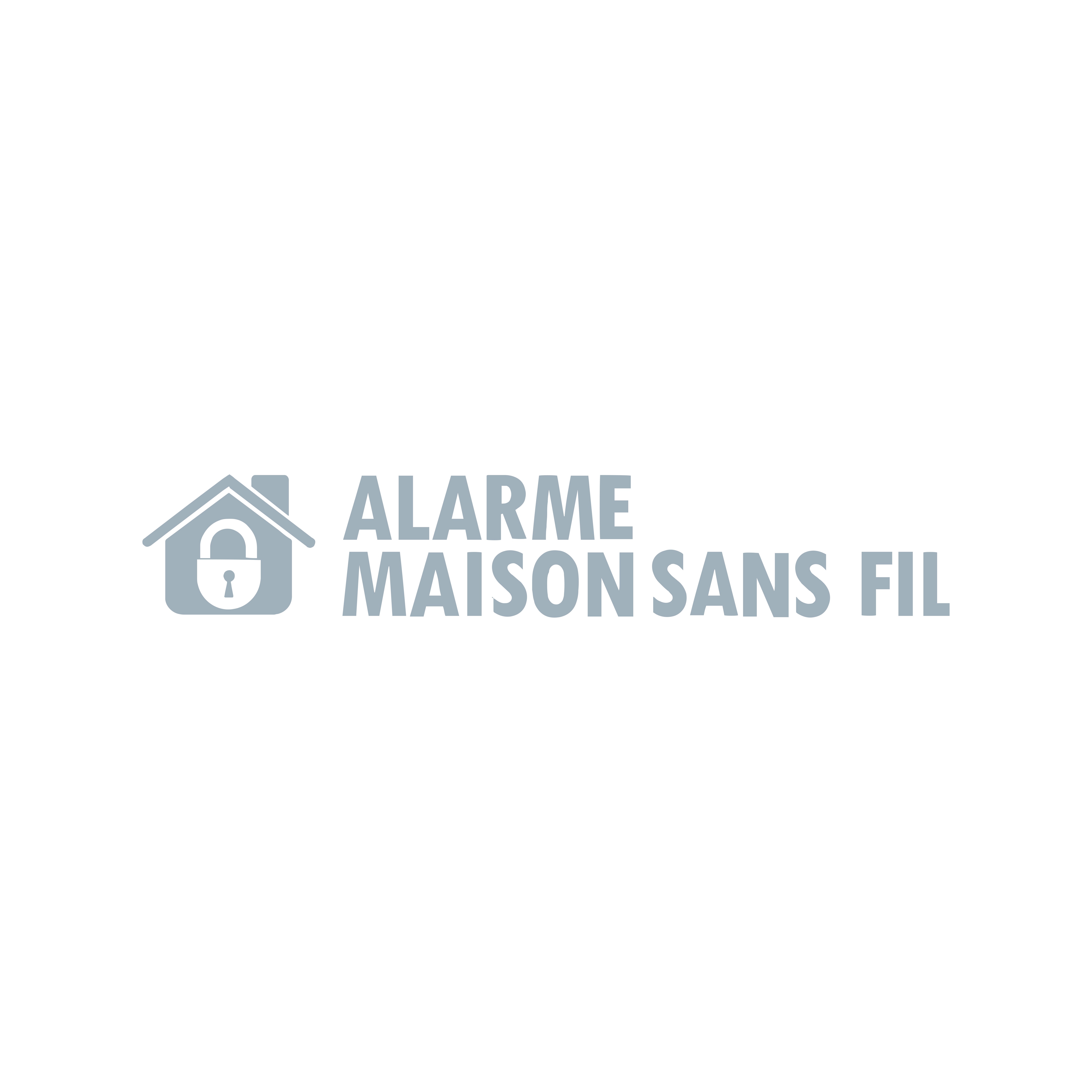 Carte SIM M2M pour alarme GSM